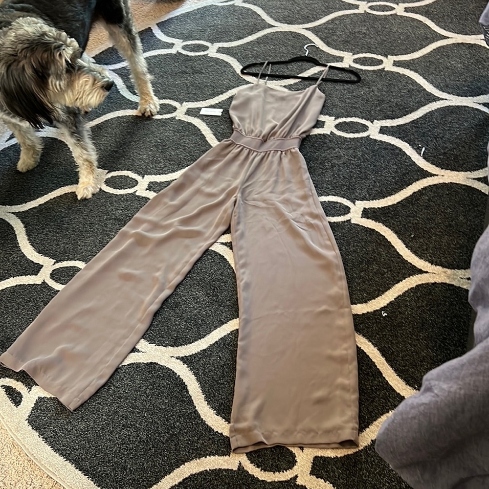 Aritzia / Babaton XXS Jumpsuit